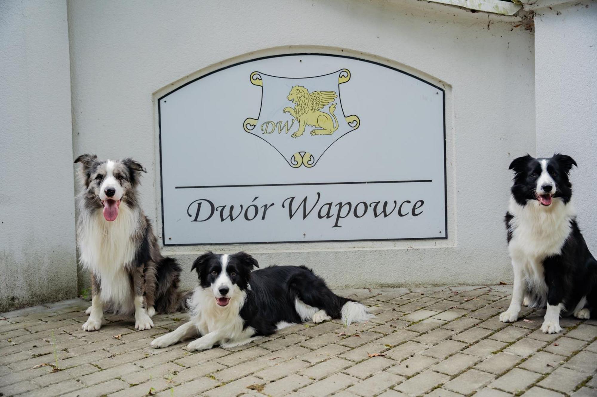 ホテル Dwor Wapowce エクステリア 写真